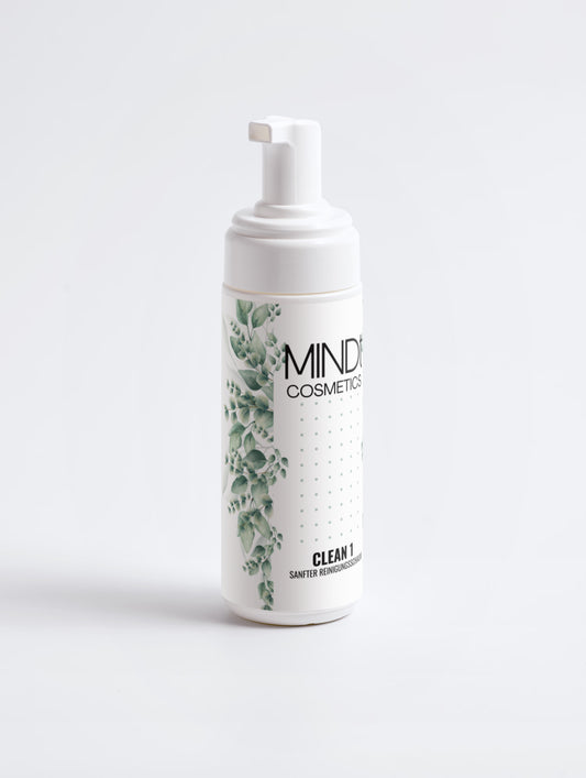 Clean 1 - Reinigungsschaum